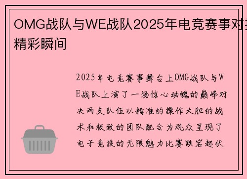 OMG战队与WE战队2025年电竞赛事对抗精彩瞬间