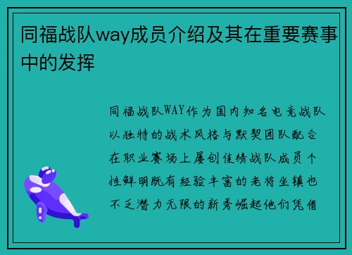 同福战队way成员介绍及其在重要赛事中的发挥